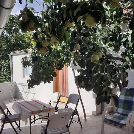 Lora Apartment *